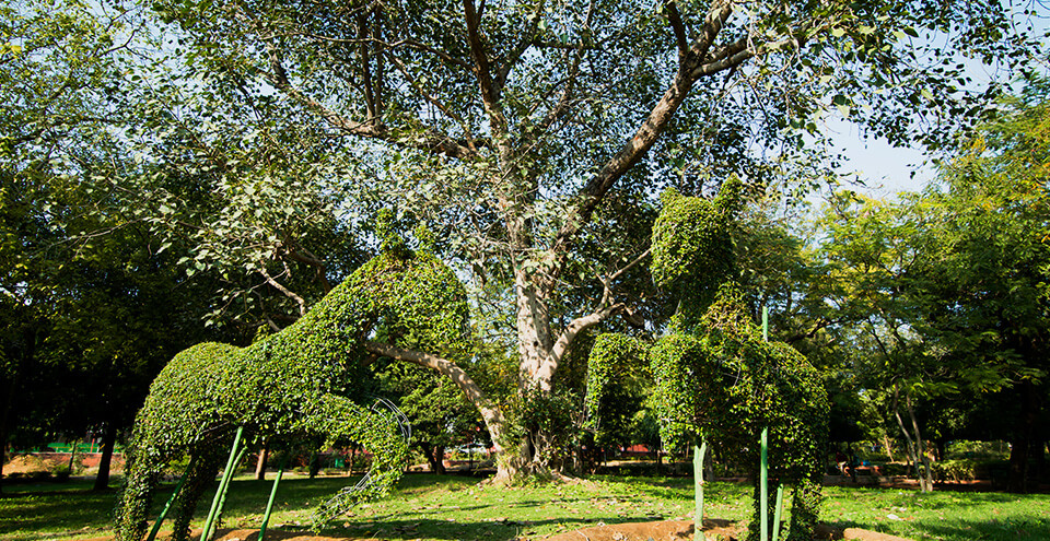 Vidyadhar Garden